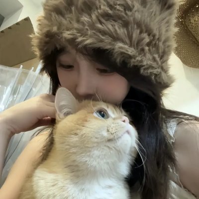 美国兔子的冒险